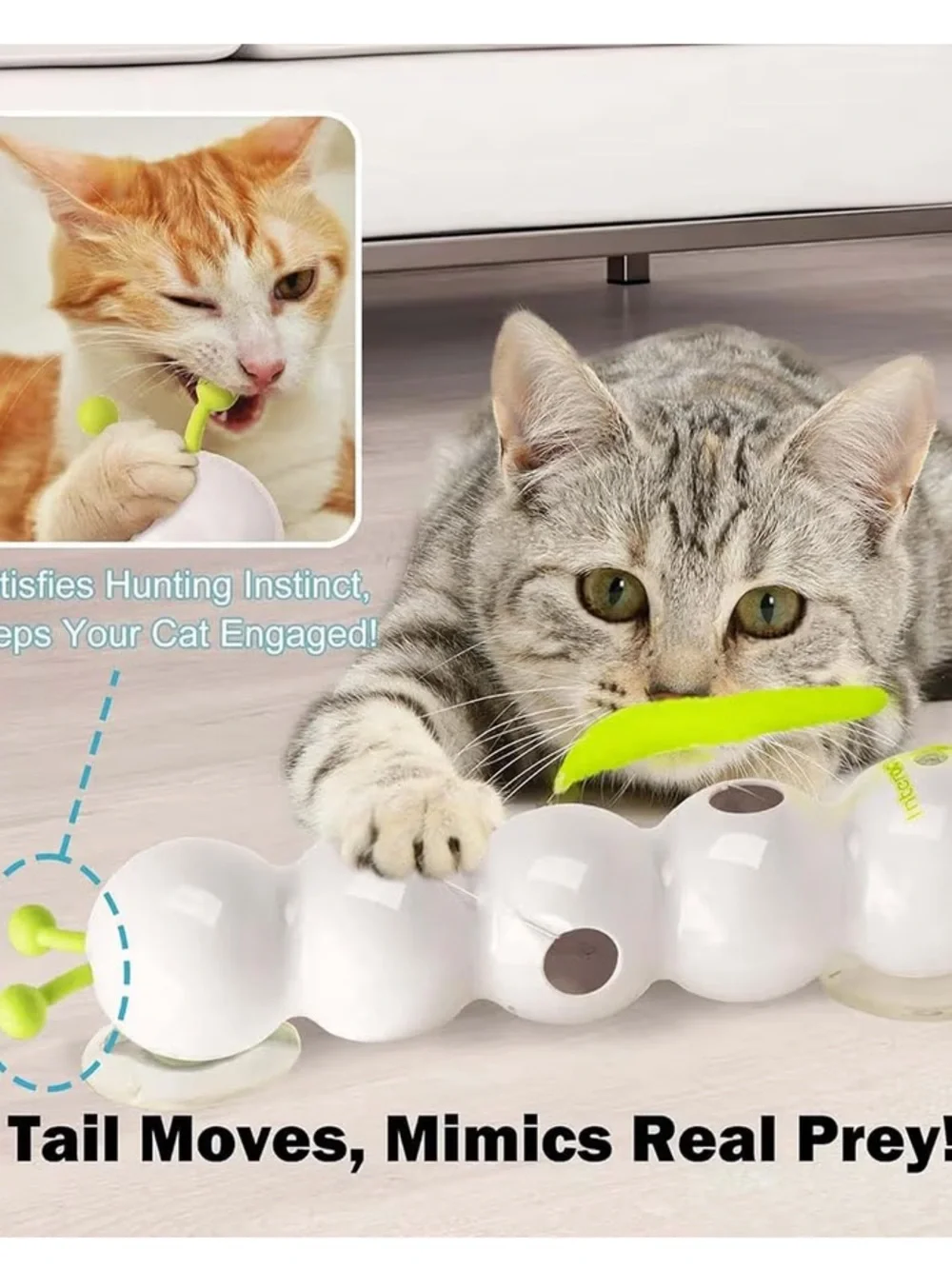 Interactive Caterpillar Cat Toy Wack a Worm- In Box